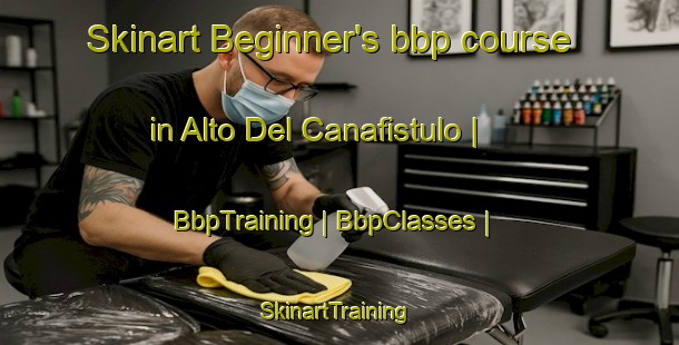 Skinart Beginner's bbp course in Alto Del Canafistulo | BbpTraining | BbpClasses | SkinartTraining-Panama